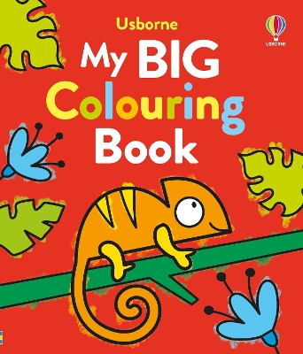 My Big Colouring Book book