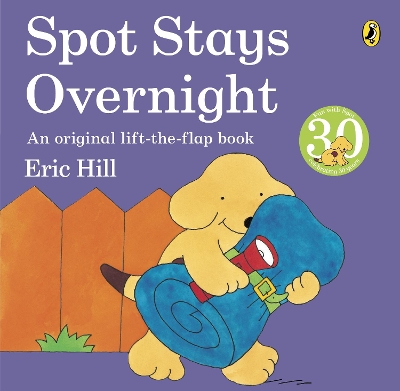Spot Stays Overnight book