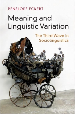 Meaning and Linguistic Variation book