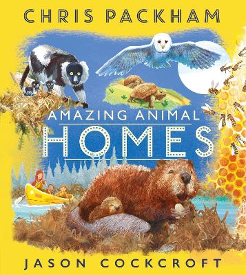 Amazing Animal Homes book