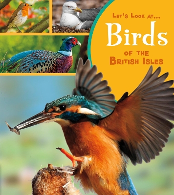 Birds of the British Isles book