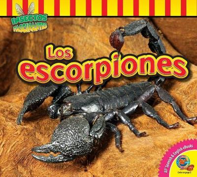 Los Escorpiones (Scorpions) by Samantha Nugent