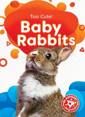 Baby Rabbits book