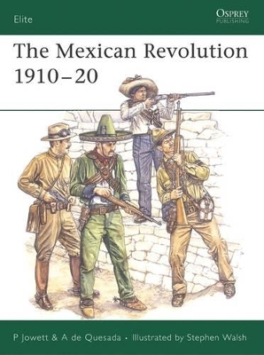 The Mexican Revolution 1910–20 book