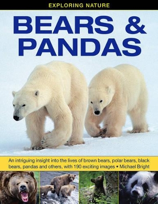 Exploring Nature: Bears & Pandas book