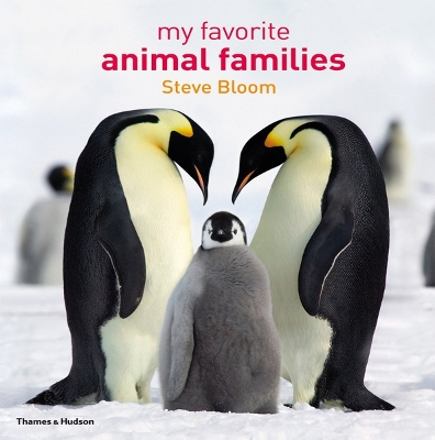 My Favourite Animal Families book