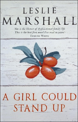 A Girl Could Stand Up by Leslie Marshall