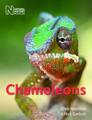 Chameleons book