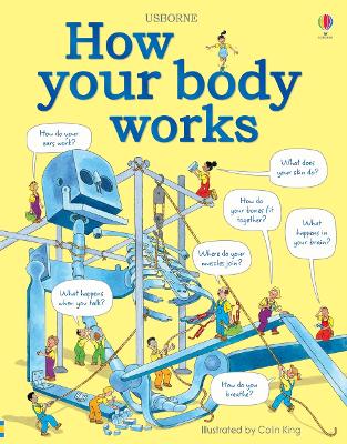 How Your Body Works by Judy Hindley