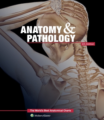 Anatomy & Pathology:The World's Best Anatomical Charts Book book