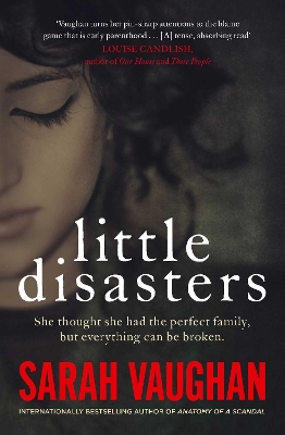 Little Disasters: the compelling and thought-provoking new novel from the author of the Sunday Times bestseller Anatomy of a Scandal by Sarah Vaughan