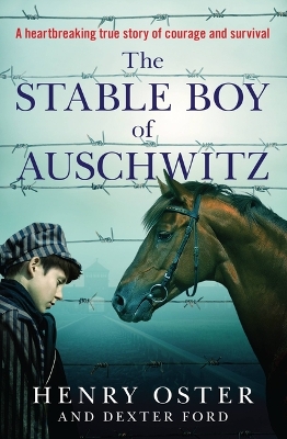 The Stable Boy of Auschwitz book