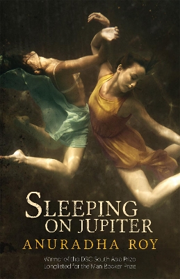 Sleeping on Jupiter book