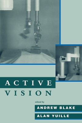 Active Vision book