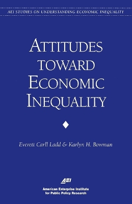 Public Attitudes on Economic Inequality book