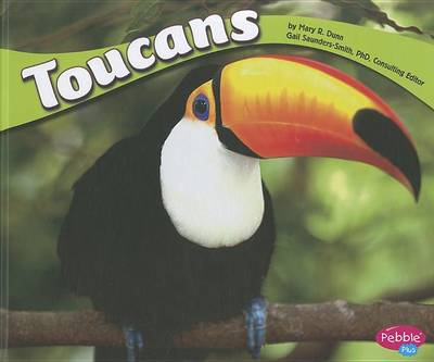 Toucans by Mary R Dunn