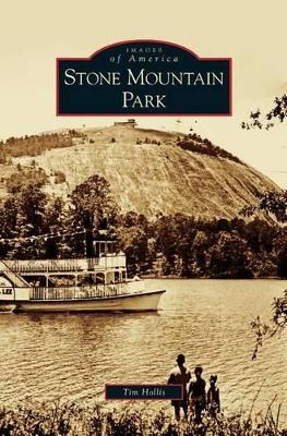 Stone Mountain Park book