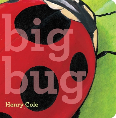 Big Bug book