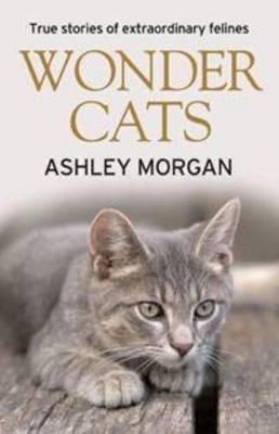 Wonder Cats book