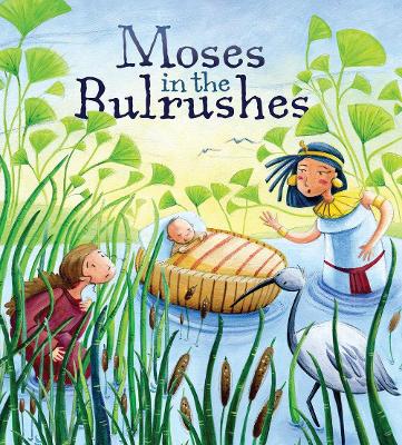 Moses in the Bulrushes book