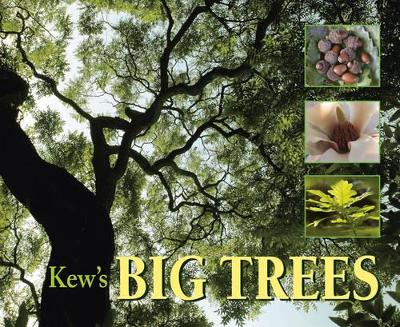 Kew's Big Trees book