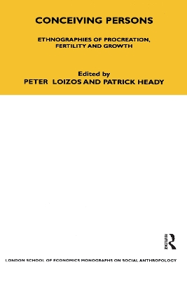 Conceiving Persons book