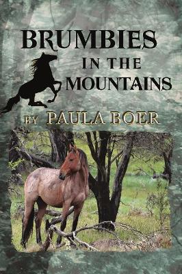 Brumbies in the Mountains book