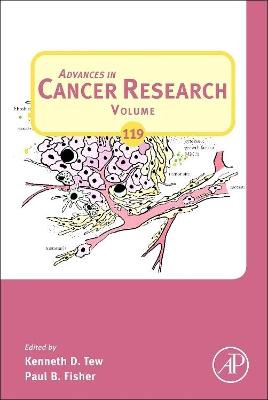 Advances in Cancer Research by Kenneth D. Tew