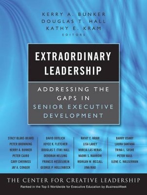 Extraordinary Leadership: Addressing the Gaps in Senior Executive Development book