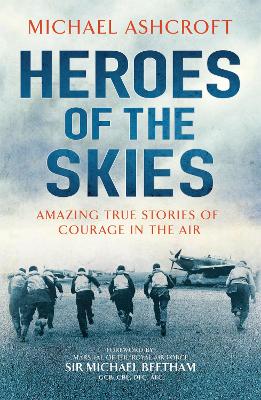 Heroes of the Skies book