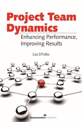 Project Team Dynamics book