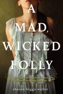 Mad, Wicked Folly book