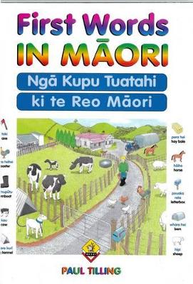 First Words In Maori book