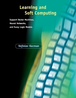 Learning and Soft Computing book