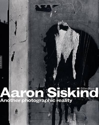 Aaron Siskind book