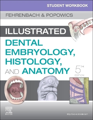 Student Workbook for Illustrated Dental Embryology, Histology and Anatomy book