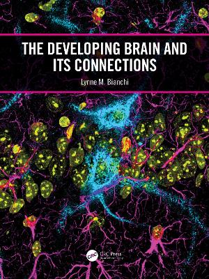 The Developing Brain and its Connections by Lynne M. Bianchi