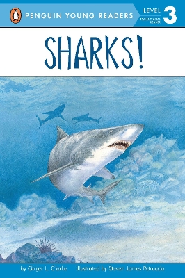 Sharks! book