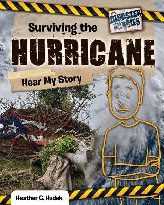 Surviving the Hurricane: Hear My Story by Heather C. Hudak