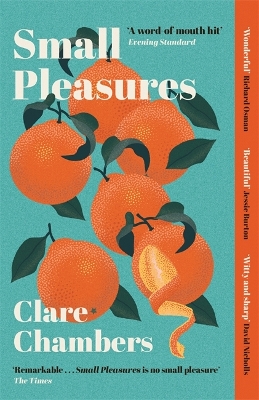 Small Pleasures: Longlisted for the Women's Prize for Fiction book