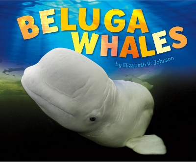 Beluga Whales by Elizabeth R Johnson
