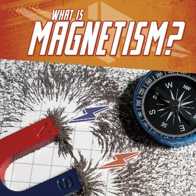What Is Magnetism? book