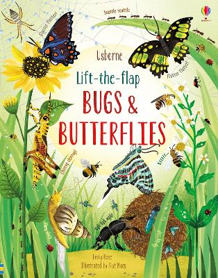 Lift-the-Flap Bugs and Butterflies book