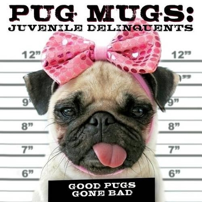 Pug Mugs: Juvenile Delinquents by Willow Creek Press