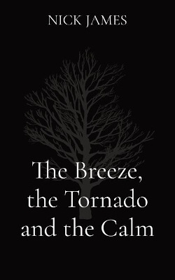 The Breeze, the Tornado and the Calm book