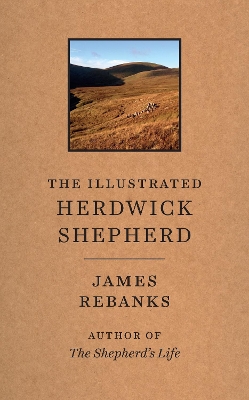 Illustrated Herdwick Shepherd book