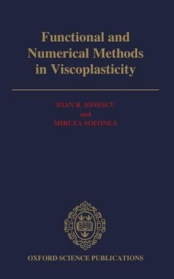 Functional and Numerical Methods in Viscoplasticity book