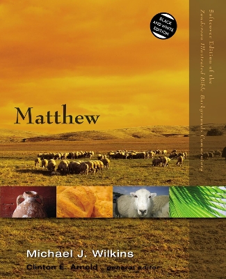 Matthew by Michael J. Wilkins