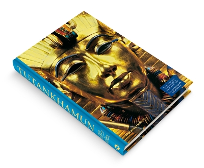 King Tutankhamun book