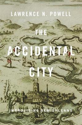 Accidental City book